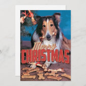 Collie Dog Christmas Einladung (Vorne/Hinten)