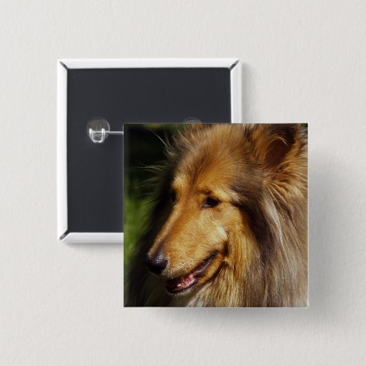 Collie Dog Fotograf Button (Vorne & Hinten)