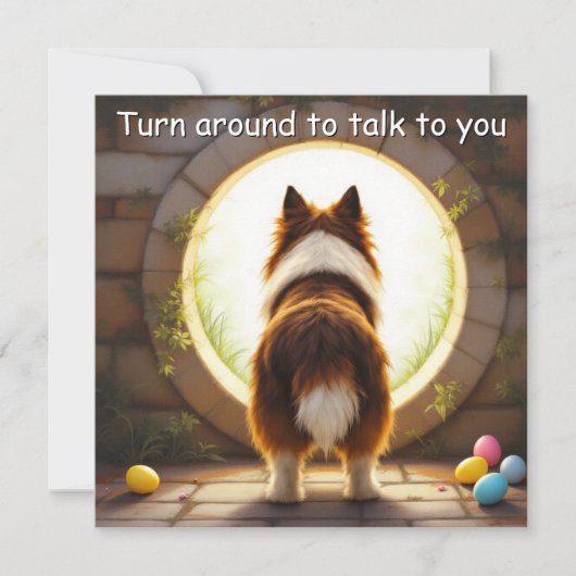 Collie dog - mit Familienname Feiertagskarte (Vorderseite)