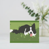 Collie Dog Postcard Postkarte (Stehend Vorderseite)