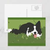 Collie Dog Postcard Postkarte (Vorne/Hinten)