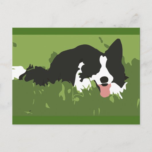 Collie Dog Postcard Postkarte (Vorderseite)