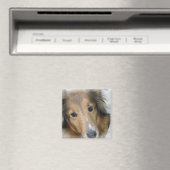 Collie Dog Square Magnet (In Situ (Geschirrspüler))