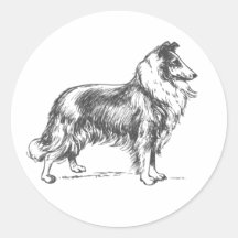 Collie Dog Sticker