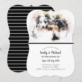 Collie Dogs Hochzeit Einladungen Elegantes Ambient