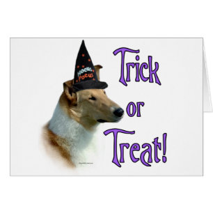 Collie (Einmal, glatt) Trick