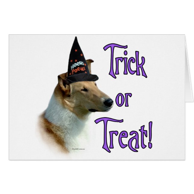 Collie (Einmal, glatt) Trick (Vorderseite (Horizontal))