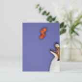 Collie fängt Kunststoffknochen Postkarte (Stehend Vorderseite)