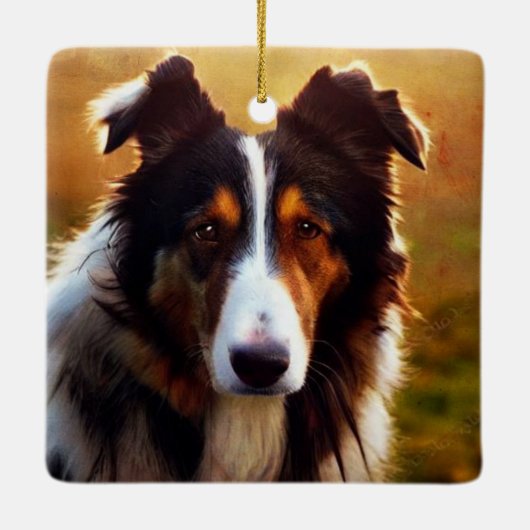 Collie Front View Keramikornament (Rückseite)