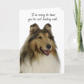 Collie Get Well Card Karte (Vorderseite)