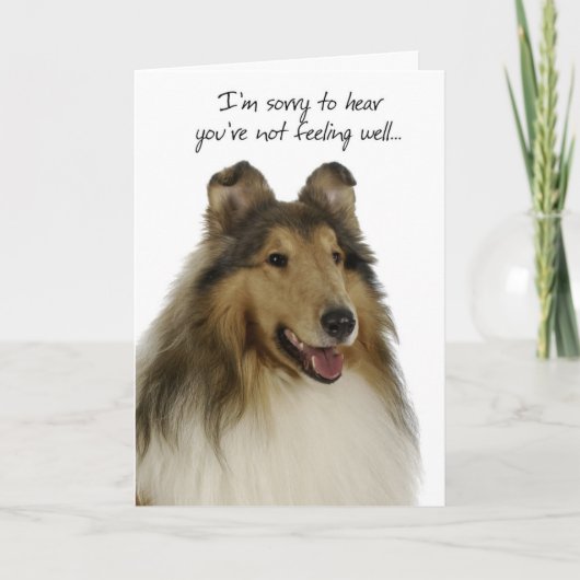 Collie Get Well Card Karte (Vorderseite)