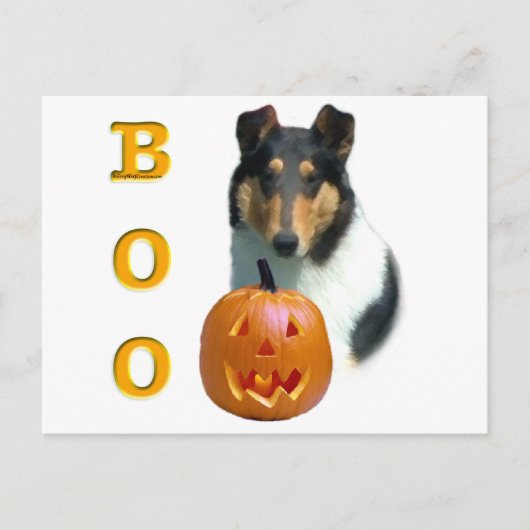 Collie (glatt) Boo Postkarte (Vorderseite)