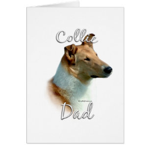 Collie (glatt) Vater 2