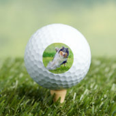 Collie Golfball (Insitu T-Shirt)