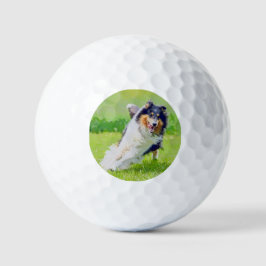 Collie Golfball