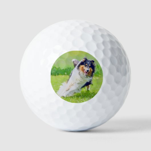 Collie Golfball (Vorderseite)