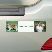COLLIE, GOT COLLIE? AUTOAUFKLEBER (Auf Auto)
