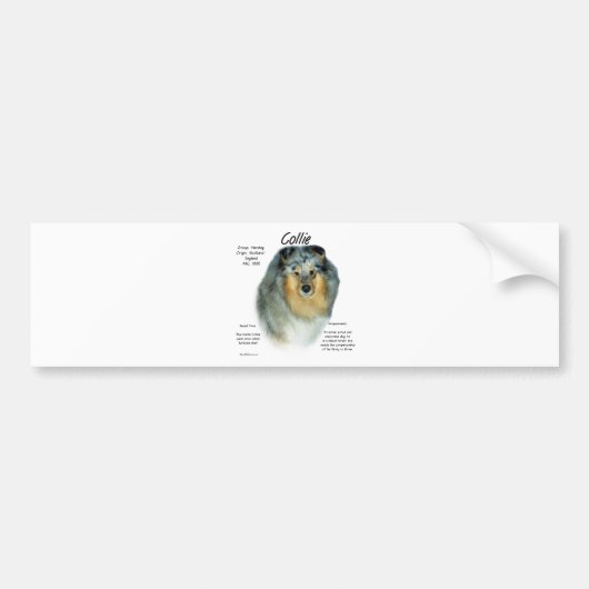 Collie (Grob Merle) History Design Autoaufkleber (Vorne)