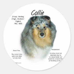 Collie (Grob Merle) History Design Runder Aufkleber