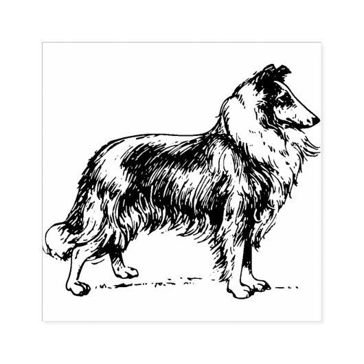 Collie Gummistempel (Prägung)