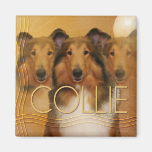 Collie-Halbmond-Mond Magnet