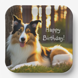Collie Happy Birthday Pappteller