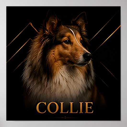 Collie Heritage Shepherd Kollektion Poster (Vorne)
