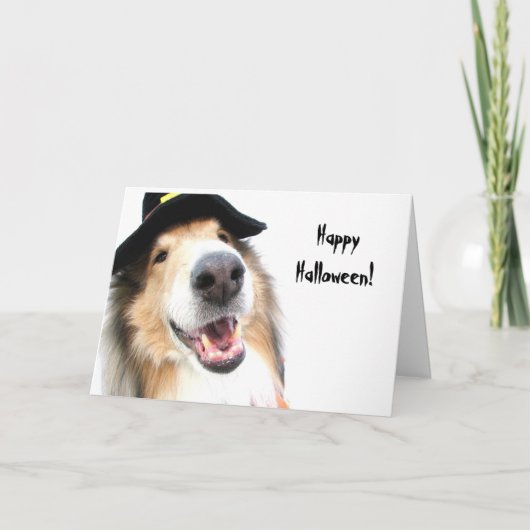 Collie-Hexe-Halloween-Karte Karte (Vorderseite)