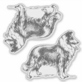Collie-Hund Aufkleber (Vorderseite)