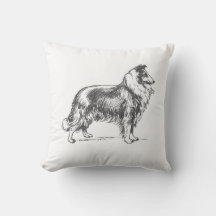 Collie-Hund