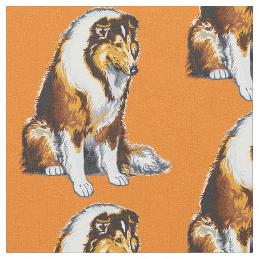Collie Hund Stoff (Nahaufnahme)