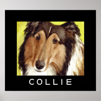Collie-Hundeplakate Poster