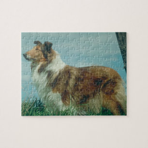 Collie-Hundepuzzlespiel Puzzle