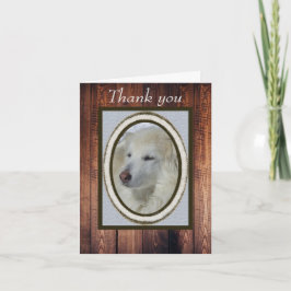 Collie/Husky Foto & Wood Vielen Dank, dass Sie ges Karte