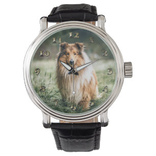 Collie im Grasland Armbanduhr