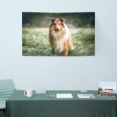 Collie im rauen Grassland Banner (Messeveranstaltung)
