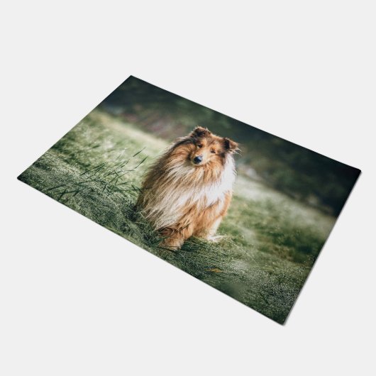 Collie im rauen Grassland Fußmatte (Schrägansicht)