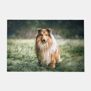 Collie im rauen Grassland Fußmatte