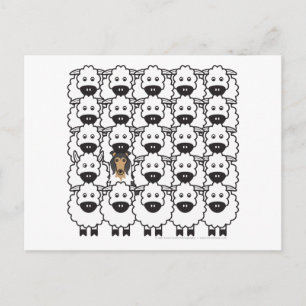 Collie im Schafe Postkarte