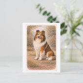 Collie im Vintage-Stil Postkarte (Stehend Vorderseite)
