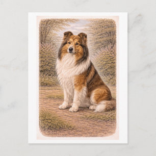 Collie im Vintage-Stil Postkarte