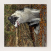 Collie im Wald 676 Stück Puzzle (Vertikal)