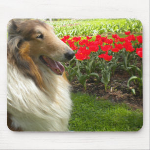 Collie in der Tulips-Maus-Pad Mousepad