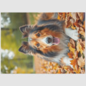 Collie in gras-découpage paper seidenpapier (Vorderseite)