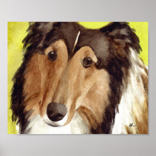 Collie-Kunst Poster