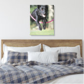 Collie Leinwanddruck (Insitu (Schlafzimmer))