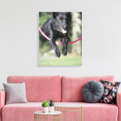 Collie Leinwanddruck (Insitu (Wohnzimmer))