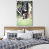 Collie Leinwanddruck (Insitu (Schlafzimmer))