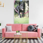 Collie Leinwanddruck (Insitu (Wohnzimmer))