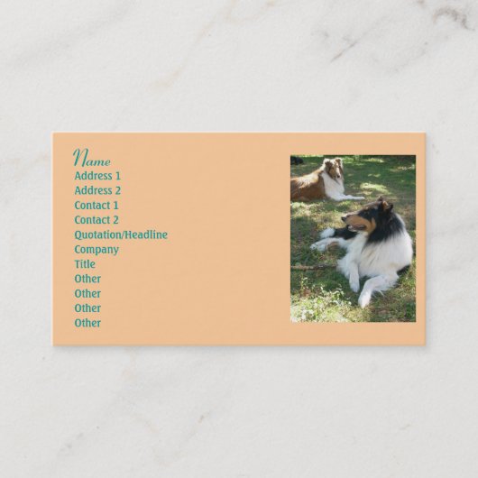 Collie Lovers Business Cards 2 Visitenkarte (Vorderseite)